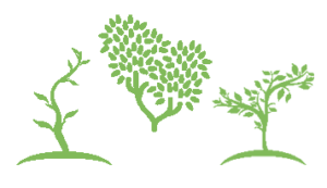 tree-collage