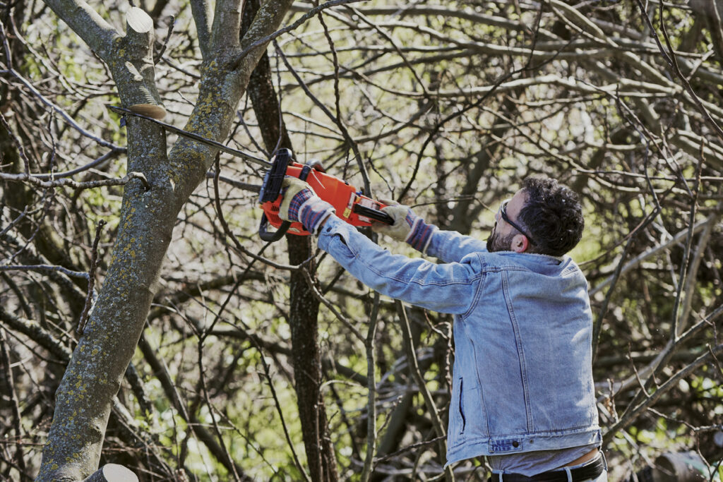 man incorrectly using chainsaw on tree
