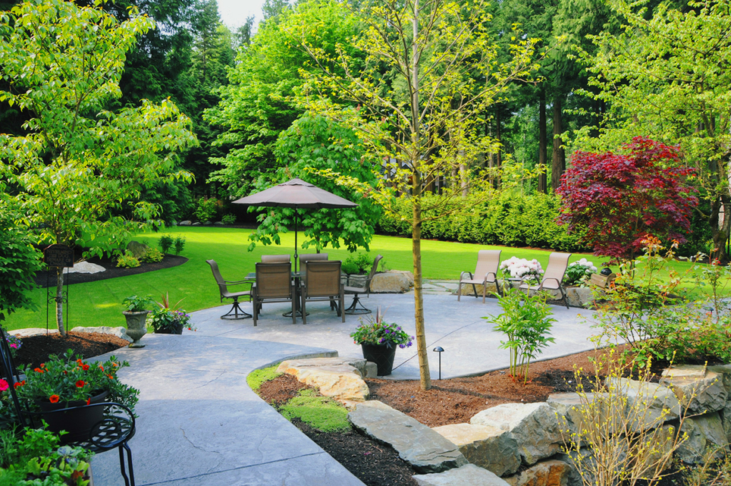 trimmed-trees-in-elevated-landscape-design