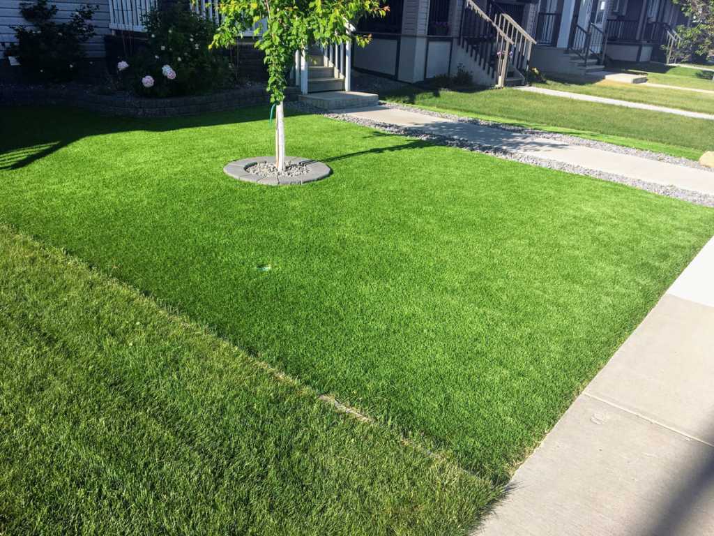 tree planted in yard with artificial turf