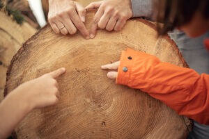 people-pointing-to-tree-rings