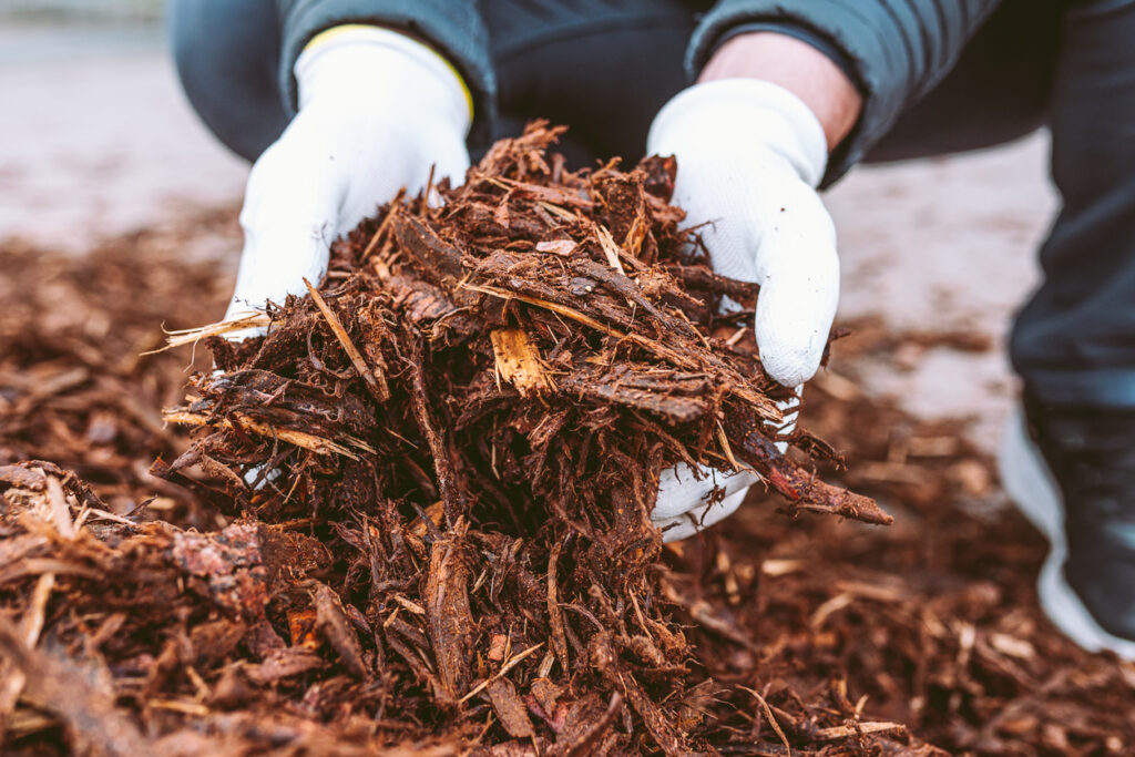 hands-holding-mulch-as-part-of-fall-tree-maintenance