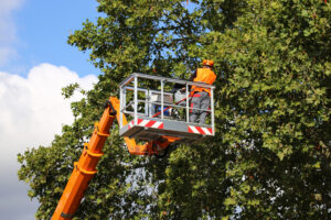 arborist-in-cherry-picker-trimming-tree-in-Atlanta-area