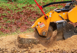 stump-grinder-being-used-to-remove-stump