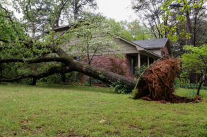 summer-storm-caused-fallen-tree-Atlanta