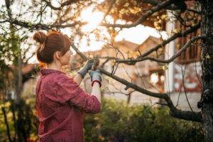 woman pruning trees